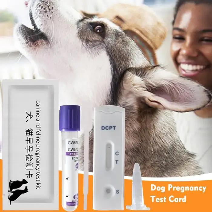 Kit de Test de Grossesse pour Chien à Usage Domestique Convient à Tous les Chiens Occasions de Surveillance de Santé Familiale et Professionnelle