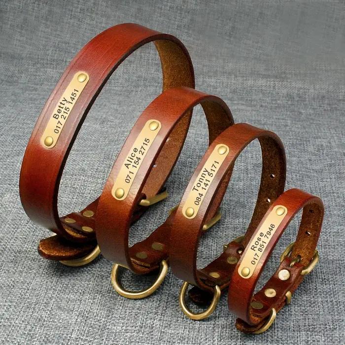 Collier d'identification de chien personnalisé en cuir véritable
