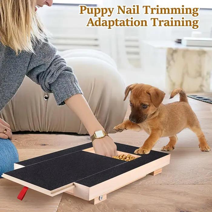 Planche à gratter les ongles pour chien avec boîte à friandises intégrée en cuivre pour chiots et chiens grands occasions de soins des ongles