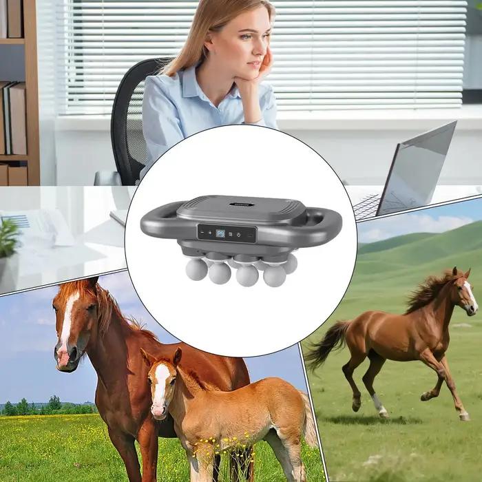 Outil de massage pour chevaux
