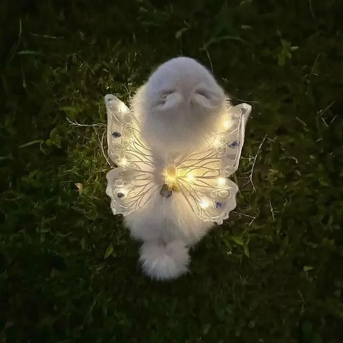 Harnais pour chien avec ailes de papillon lumineuses et tenue d'été pour petits chiens – Adorable décor de poitrine