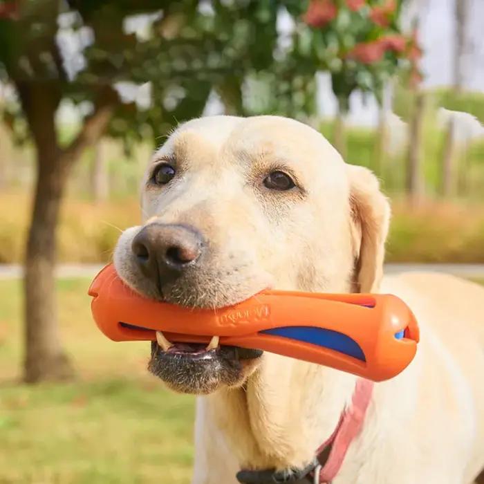 Jouet flottant pour chien