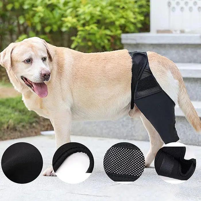 Genouillères de soutien pour chiens de récupération post-opératoire, protection articulaire et maintien du confort pour chiens de différentes races et tailles