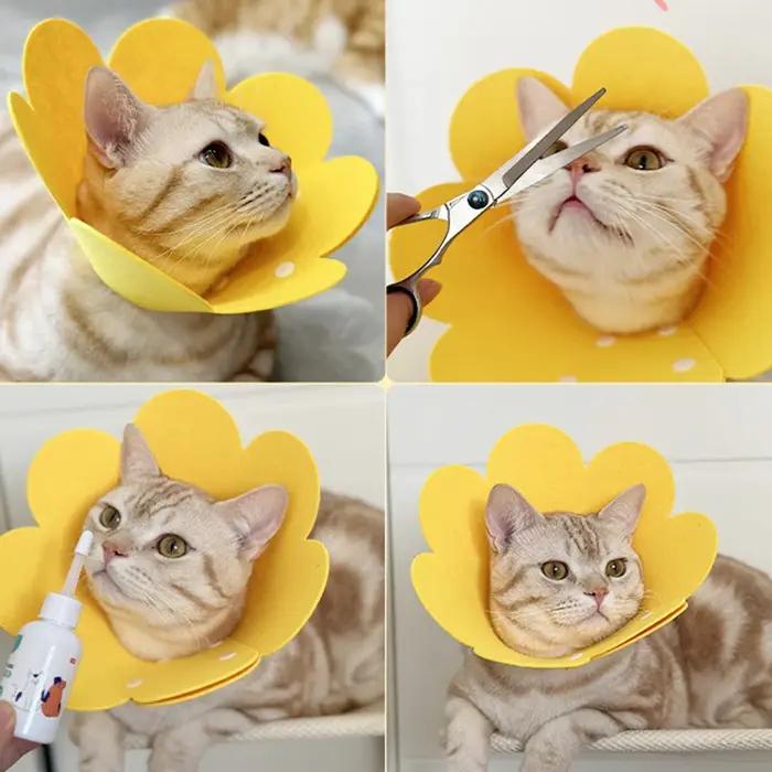 Collier de protection pour animaux de compagnie, cône de récupération de cou de chien, pour Anti-morsure, chirurgie de léchage, guérison des plaies, cercle médical de santé pour chiens et chats
