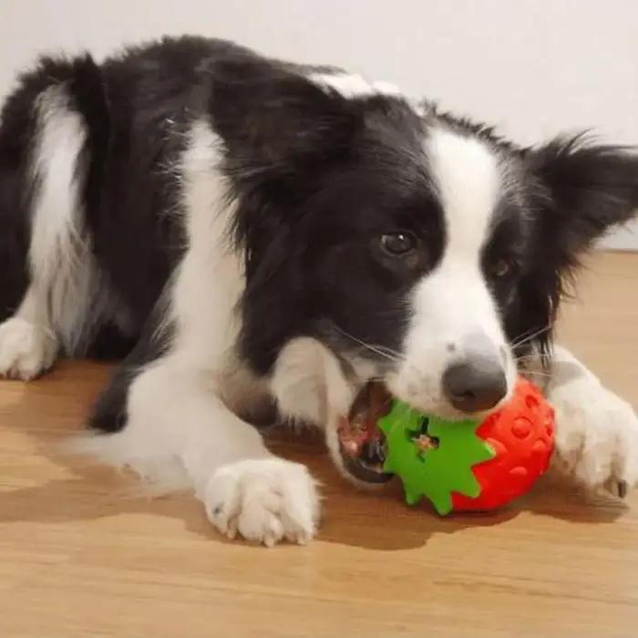 Balle interactive en caoutchouc en forme de fraise pour chien