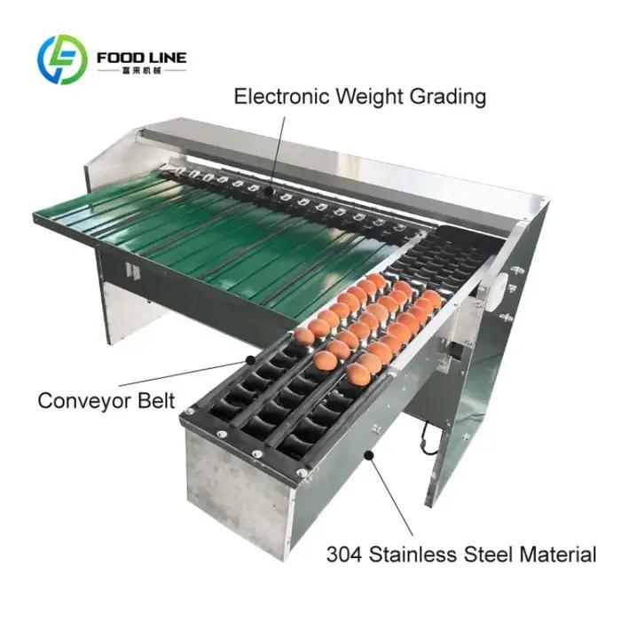 Équipement de pesage et de calibrage commercial robuste sur mesure pour l'agriculture, machine à peser les œufs, machine de tri et d'emballage des œufs