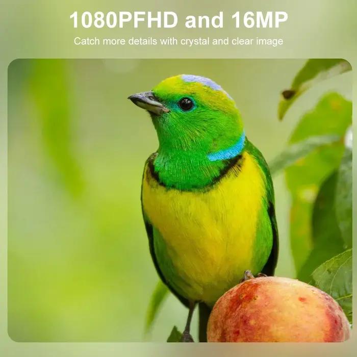 Mini Caméra de Chasse HD Vision Nocturne Infrarouge 940nm Surveillance Faune Environnement Occasions Spéciales