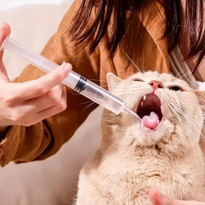 Seringue d'alimentation pour animaux de compagnie