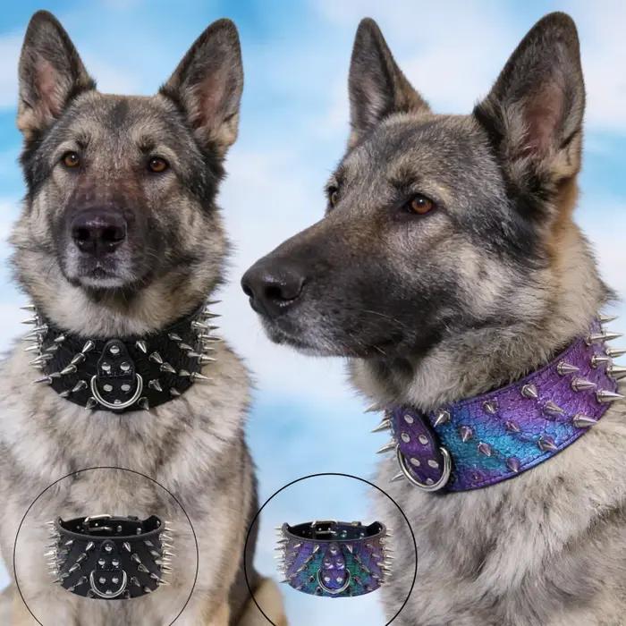 Colliers de haute qualité pour chiens de taille moyenne et grande