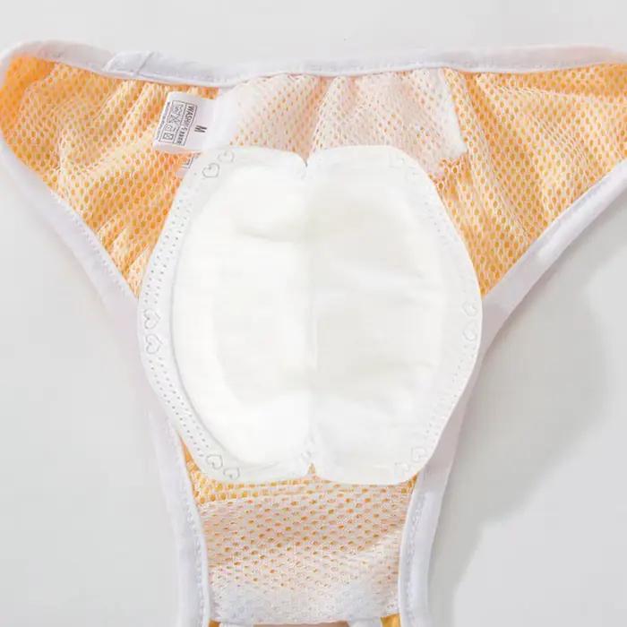 Culottes absorbantes jetables pour chien femelle – Protection hygiénique post-stérilisation