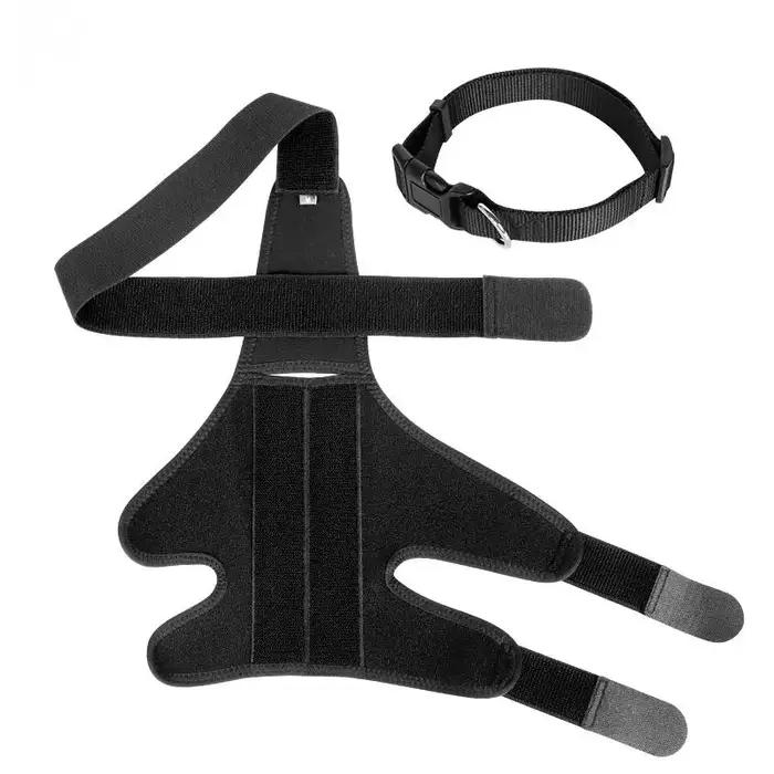 Genouillère pour chien de compagnie