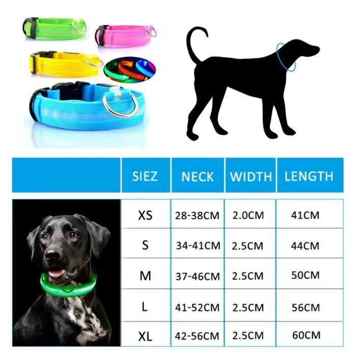 Collier Lumineux pour Chien avec Lumières LED pour Sécurité Nocturne et Style Unisexe Adapté aux Chiens et Chats Occasions Spéciales