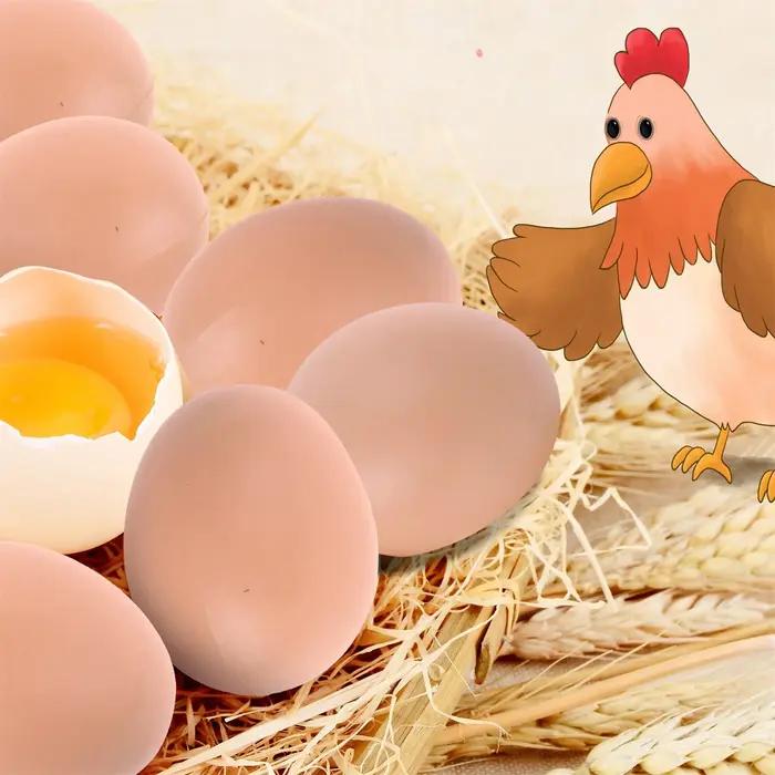 6/12 PIÈCES Œufs d'incubation de poule de Pâques, fausse reproduction de volailles, œufs artificiels en plastique, œufs à peindre soi-même, jouets éducatifs