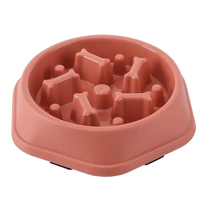 Bol de nourriture lente pour chien et chat