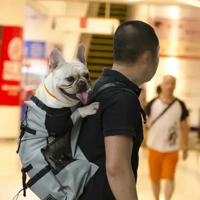 Sac à dos de transport pour chien réglable et durable
