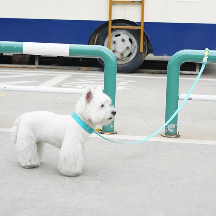 Laisses pour animaux de compagnie