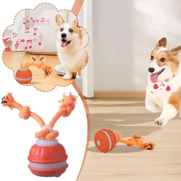 Jouets interactifs pour chiens, balle à activation par mouvement, balle roulante pour chiots/petits chiens, jouet à mouvement automatique, jouet rechargeable par USB