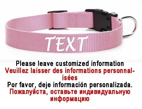 Collier personnalisé pour chien avec nom et numéro de téléphone en nylon pour chiens de toutes tailles et saisons occasions spéciales