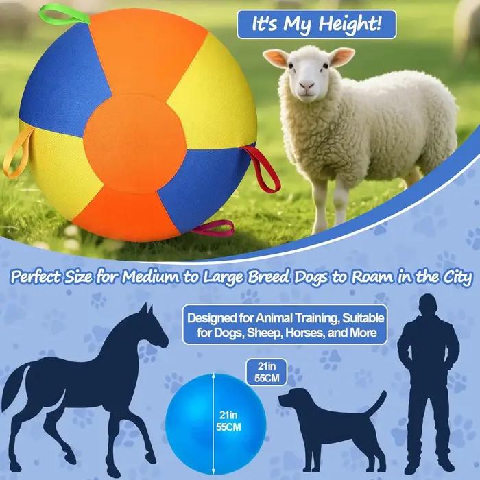 Ballon de dressage pour chiens