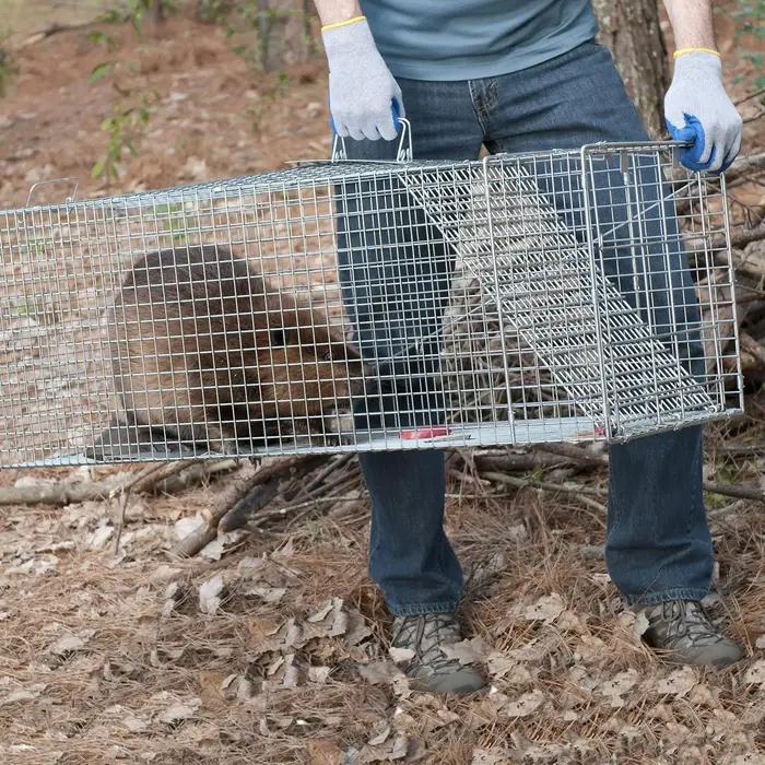 Grand piège à souris pliable à 1 porte pour chat