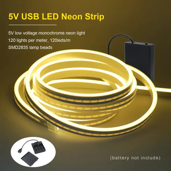 Bande lumineuse LED néon USB, 5V, 120 diodes/m, SMD 2835, étanche, Flexible, avec boîtier de batteri