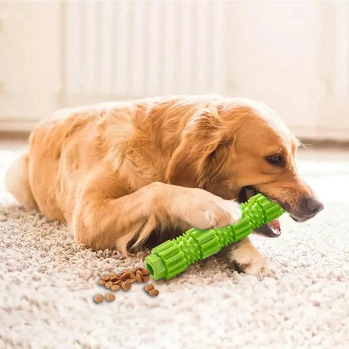 Jouets pour chiens, jouet de nettoyage des dents d'animaux de compagnie pour petits et moyens