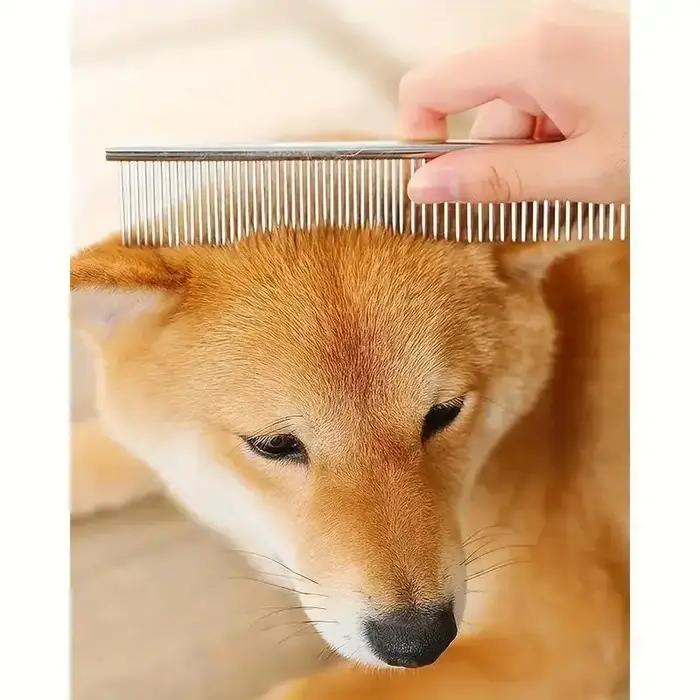 Ciseaux sûrs pour animaux de compagnie