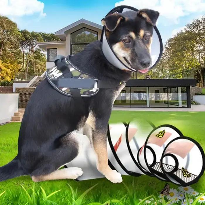 Elizabeth-Collier anti-morsure pour chien