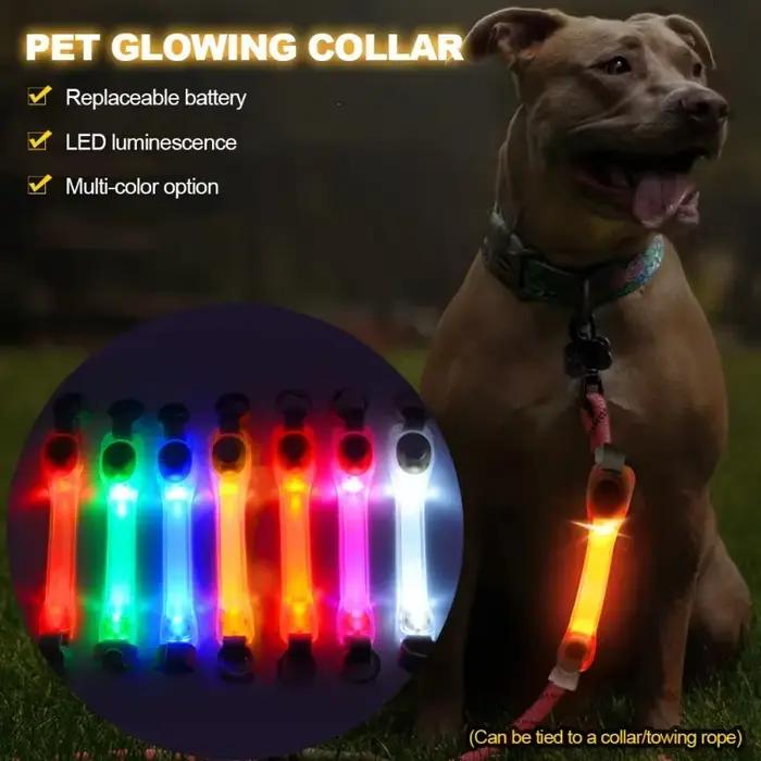 Collier lumineux de sécurité Anti-perte pour chien, pendentifs multicolores et bande lumineuse LED clignotante prête à l'extérieur, visibilité nocturne