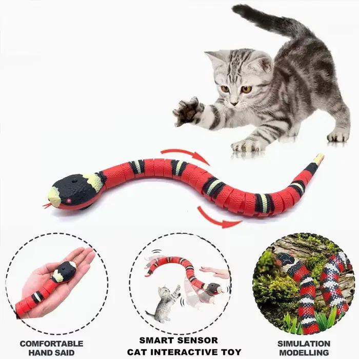 Jouets interactifs électriques pour chats, salle de détection intelligente, chargement USB, accessoi
