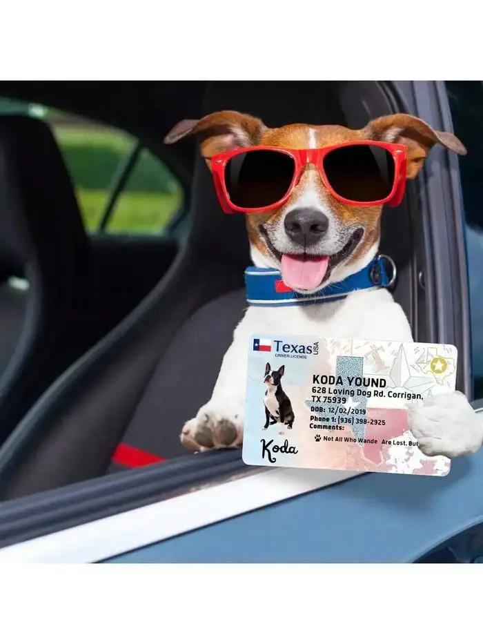 Carte personnalisée pour chien, carte PVC pour animal de compagnie, carte d'identification personnalisée pour animal, cadeau d'anniversaire pour animal, carte de poche idéale pour animal, cadeau pour