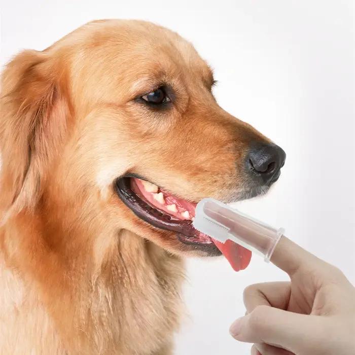 Brosse à dents Non toxique pour toilettage de chiens et de chats