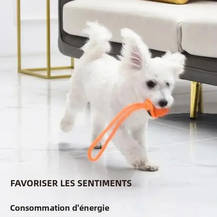 Ballon d'entraînement pour chien sur corde