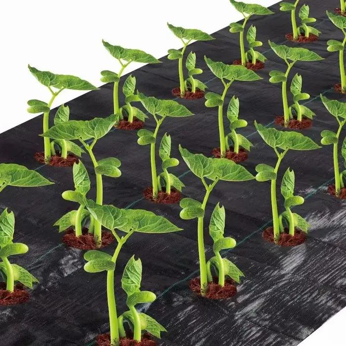 Easy-Plant Weed nights pour lit suréWer, tapis de jardin extérieur, polymères de jardin, trou de pla