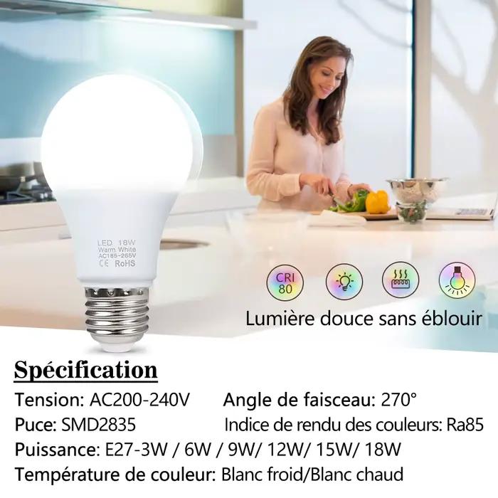 Ampoule LED AC 220V-240V
