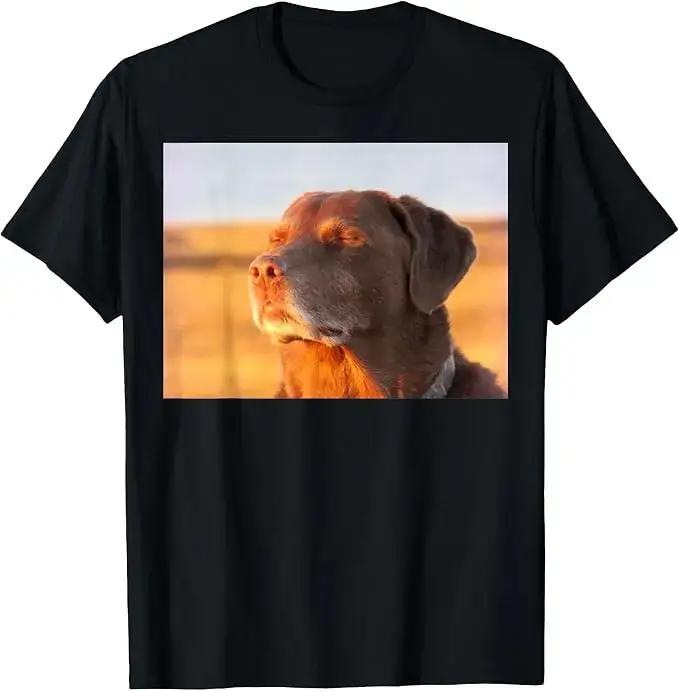 T-shirt amusant avec un motif de chien, un labrador retriever et un slogan humoristique, style Y2K,