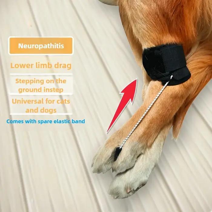 Support de jambe arrière pour chien handicapé