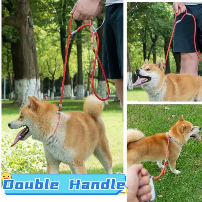 Laisse réglable pour chien en nylon double poignée pour chiots et chiens adultes sécurité visibilité couleurs variées occasions spéciales