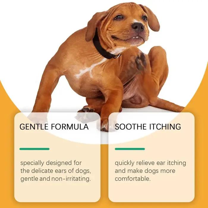 Solution nettoyante pour les oreilles des chiens contre les infections à levures