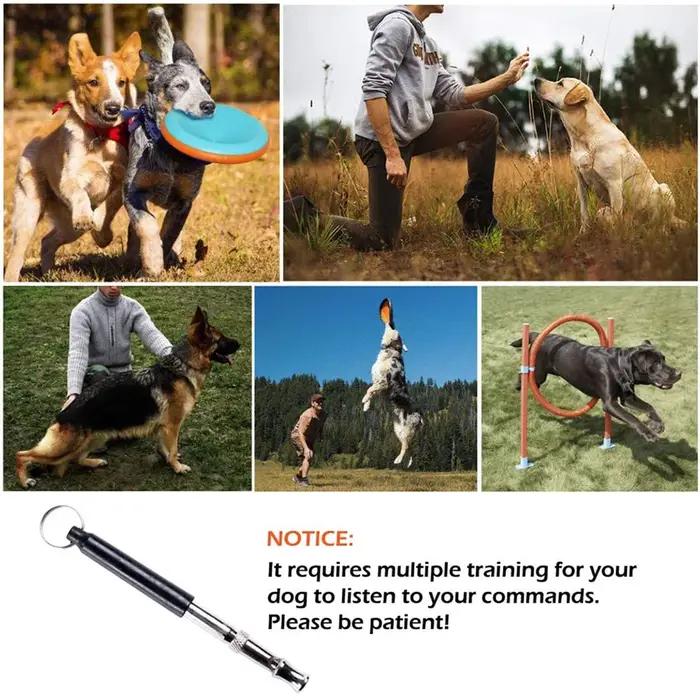 Sifflet professionnel pour arrêter d'aboyer pour chien