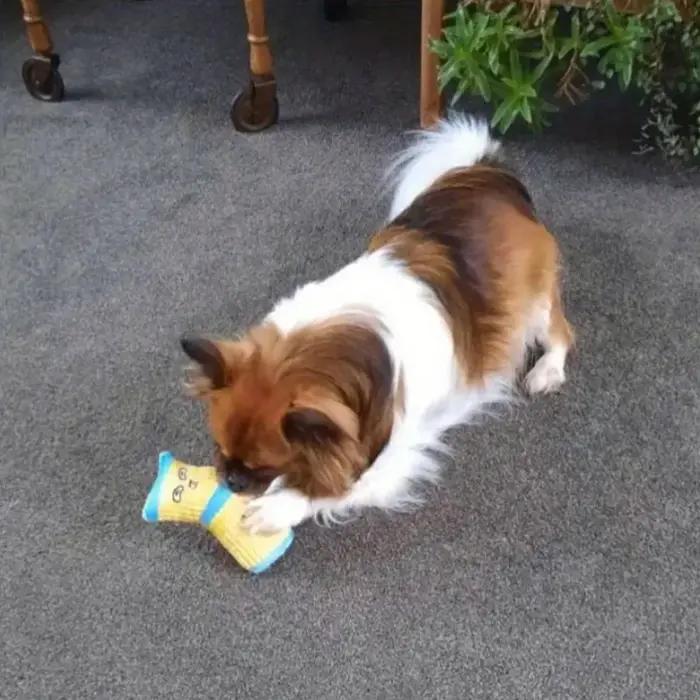 Jouet de chaussette de chien de dessin animé mignon