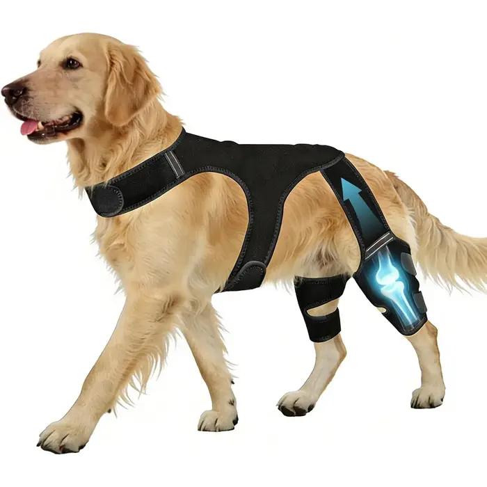 Attelles de genou pour chien pour pattes arrière