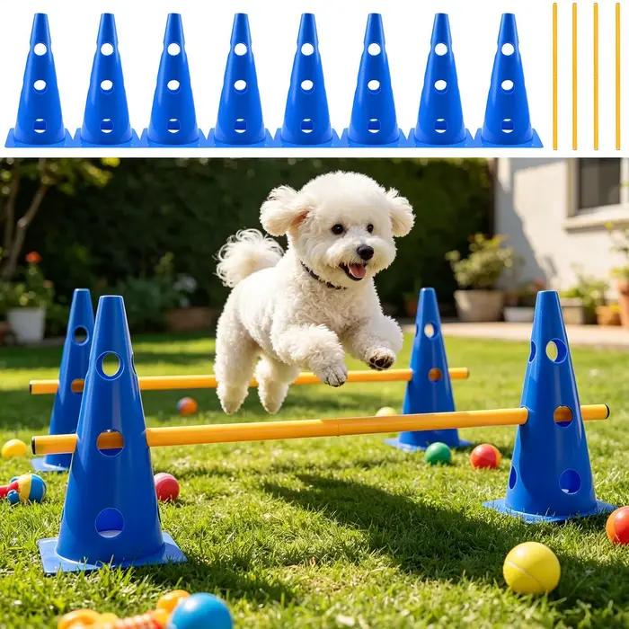 Ensemble d'agilité pour chien pour jardin