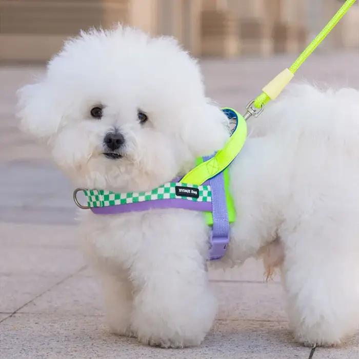 Harnais pour chien léger et doux de style selle