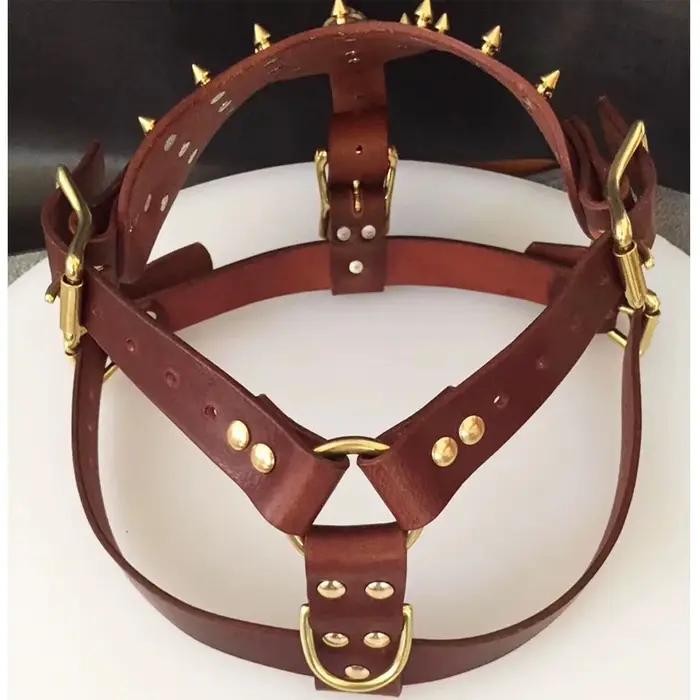 Collier de harnais d'entraînement sportif bouledogue