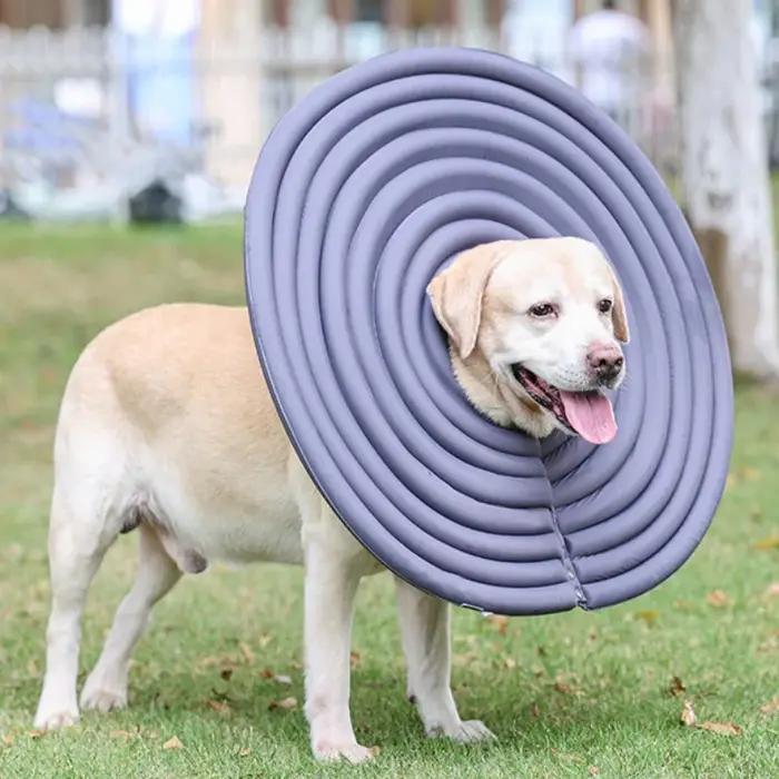 Colliers de protection pour chiens Elizabethan