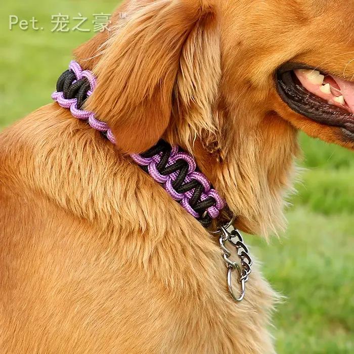 Collier de haute qualité réglable pour chiens moyens et grands en fibre avec fonction séparable pour promenade et occasions spéciales
