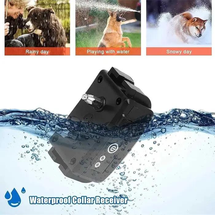 Clôture électrique pour chien filaire au sol