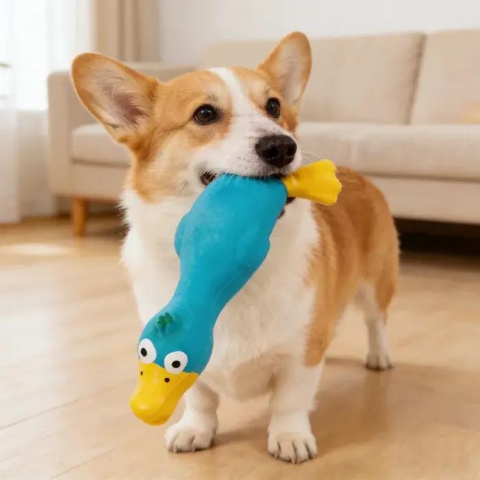 Jouet pour chien en latex résistant aux morsures