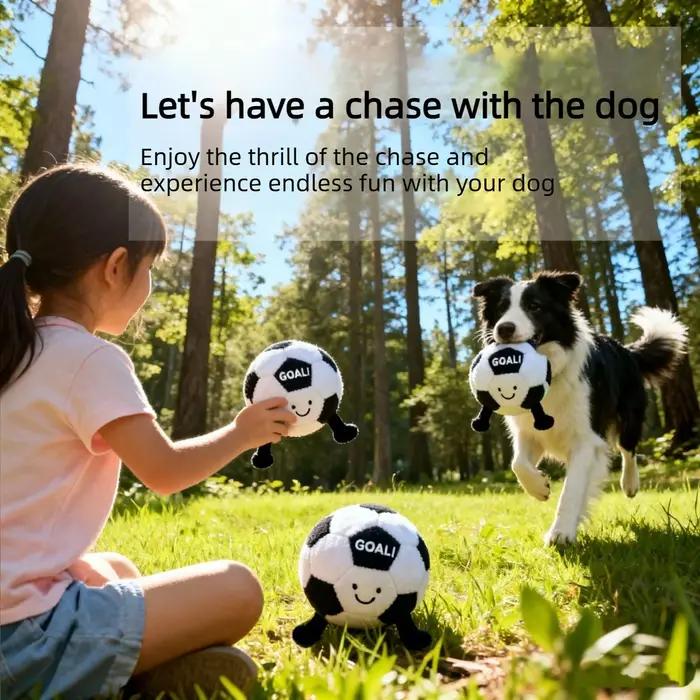 Jouets de football pour chien